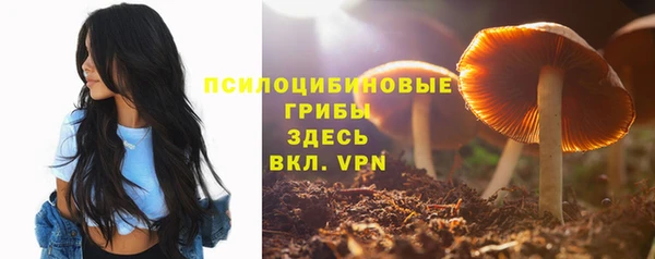 скорость Абинск